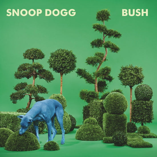 SNOOP DOGG - BUSH
