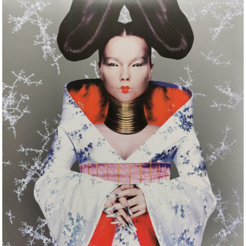 BJORK - HOMOGENIC