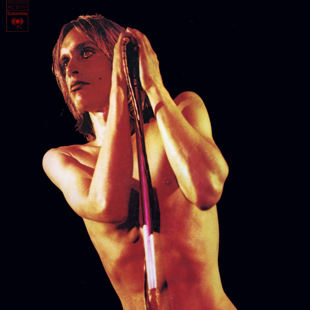 IGGY & THE STOOGES - RAW POWER (2LP)