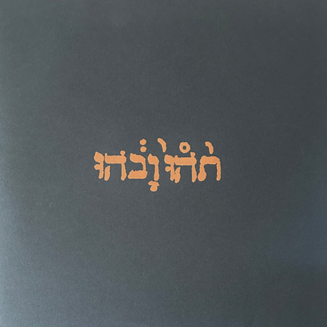 GODSPEED YOU! BLACK EMPEROR - SLOW RIOT FOR NEW ZERO KANADA EP